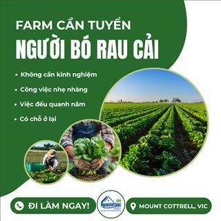Farm vùng Mount Cottrell, Vic cần người bó rau cải có chỗ ở lại 